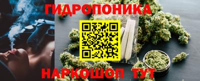 твердый Пушкино